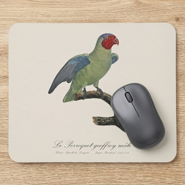 Perroquet geoffroy männlich / Roter Wangenpapagei Mousepad (Male Red-Cheeked Parrot, Geoffroyus geoffroyi. Mouse Pad)