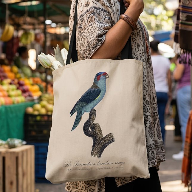 Perruche a bandeau rouge / Musk Lorikeet (Musk Lorikeet, Trichoglossus Concinnus. Tote Bag)