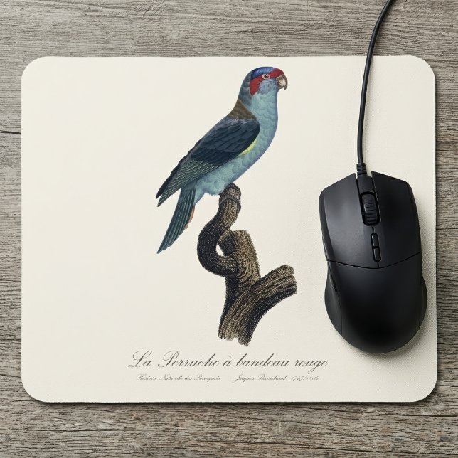 Perruche a bandeau rouge / Musk Lorikeet Mousepad (Musk Lorikeet, Trichoglossus Concinnus. Mouse Pad)