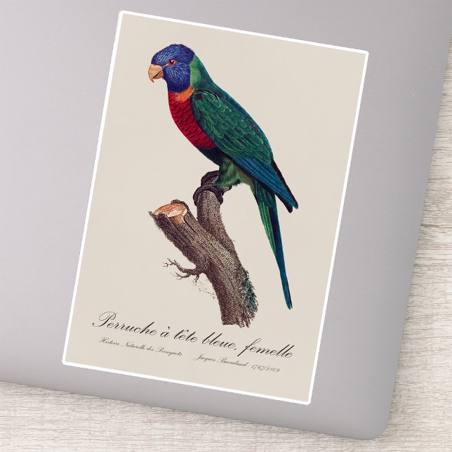 Perruche a tete bleue, femelle / Rainbow lorikeet, Aufkleber (Perruche a tete bleue, femelle / Rainbow lorikeet, female. Sticker)