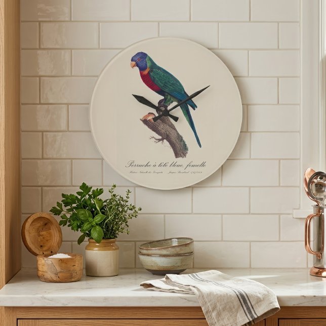 Perruche a tete bleue, femelle / Rainbow lorikeet, Große Wanduhr (Perruche a tete bleue, femelle / Rainbow lorikeet, female. Large Clock)