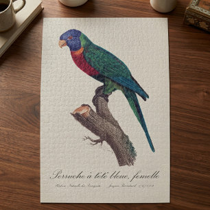 Perruche a tete bleue, femelle / Rainbow lorikeet, Puzzle