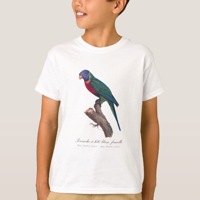 Perruche a tete bleue, femelle / Rainbow lorikeet, T-Shirt (Vorderseite)