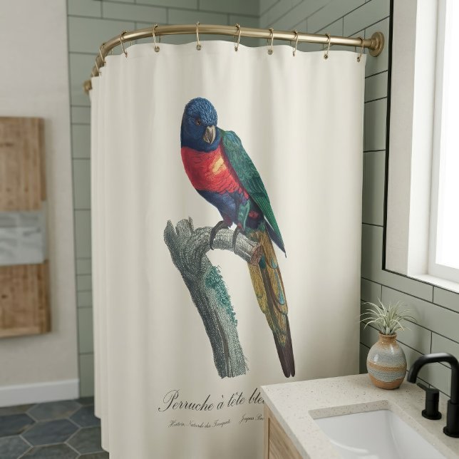 Perruche a tete bleue / Rainbow lorikee Duschvorhang (Rainbow Lorikeet Male, Trichoglossus Moluccanus. Shower Curtain)