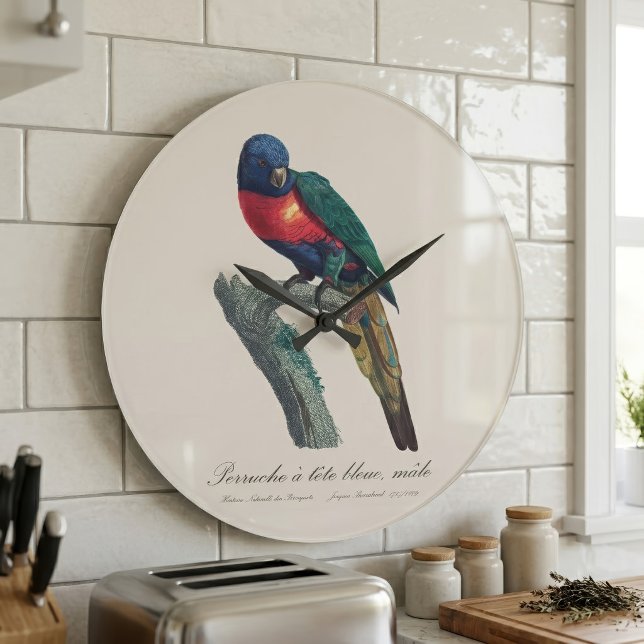 Perruche a tete bleue / Rainbow lorikee Große Wanduhr (Rainbow Lorikeet Male, Trichoglossus Moluccanus. Large Clock)