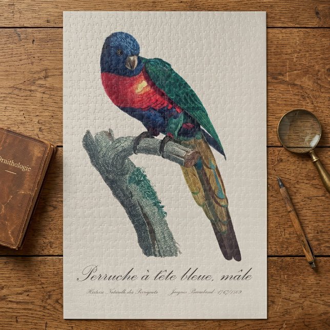 Perruche a tete bleue / Rainbow lorikee Puzzle (Rainbow Lorikeet Male, Trichoglossus Moluccanus. Jigsaw Puzzle)