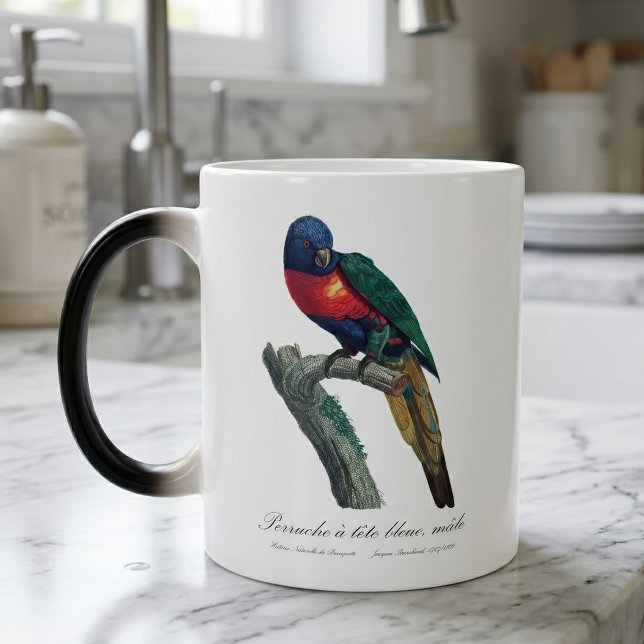 Perruche a tete bleue / Rainbow lorikee Verwandlungstasse (Rainbow Lorikeet Male, Trichoglossus Moluccanus. Color Morph Mug)