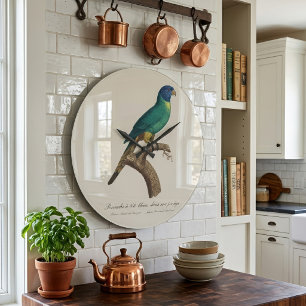 Perruche a tete bleue / Rainbow lorikeet, juvenil Große Wanduhr