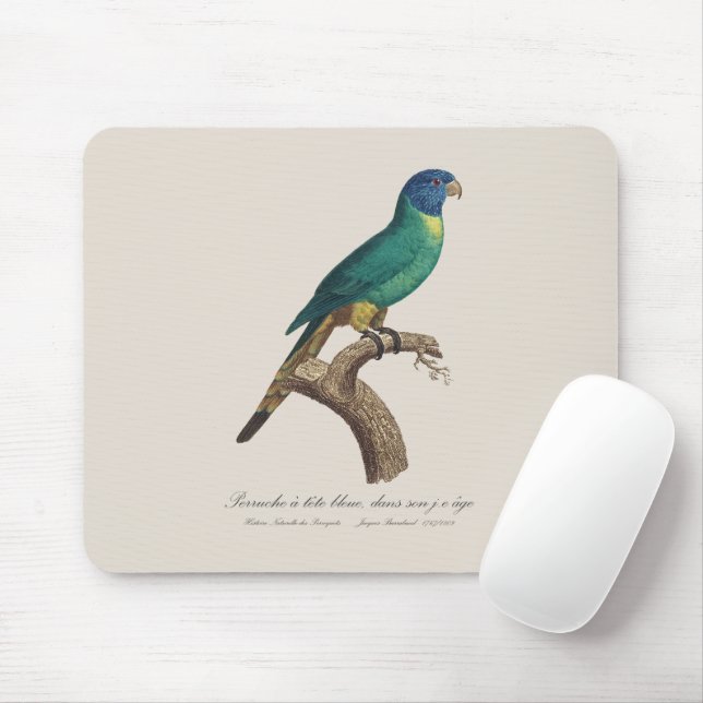 Perruche a tete bleue / Rainbow lorikeet, juvenil Mousepad (Mit Mouse)
