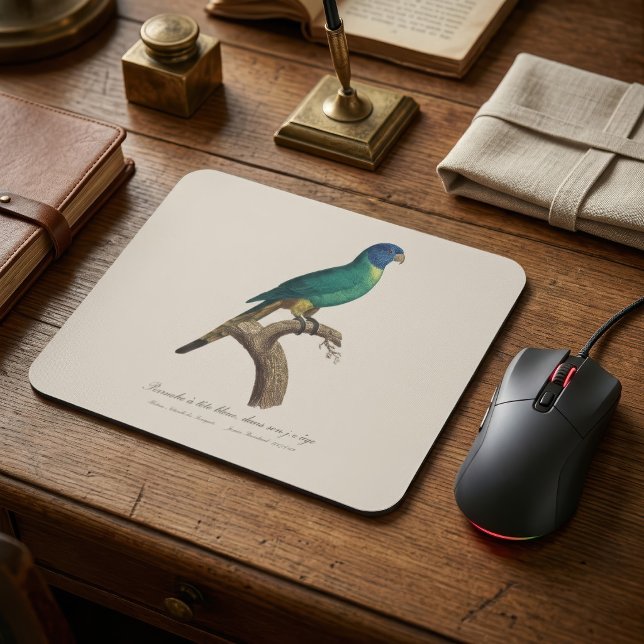 Perruche a tete bleue / Rainbow lorikeet, juvenil Mousepad (Perruche a tete bleue / Rainbow lorikeet, juvenile. Mouse Pad)