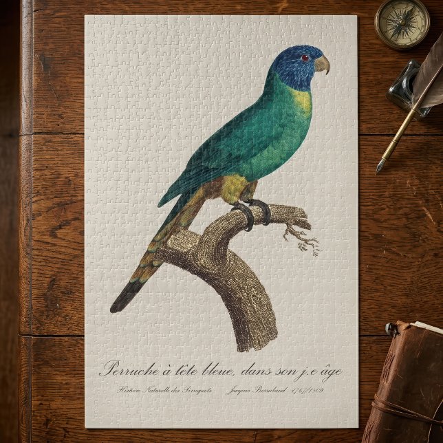 Perruche a tete bleue / Rainbow lorikeet, juvenil Puzzle (Perruche a tete bleue / Rainbow lorikeet, juvenile. Jigsaw Puzzle)