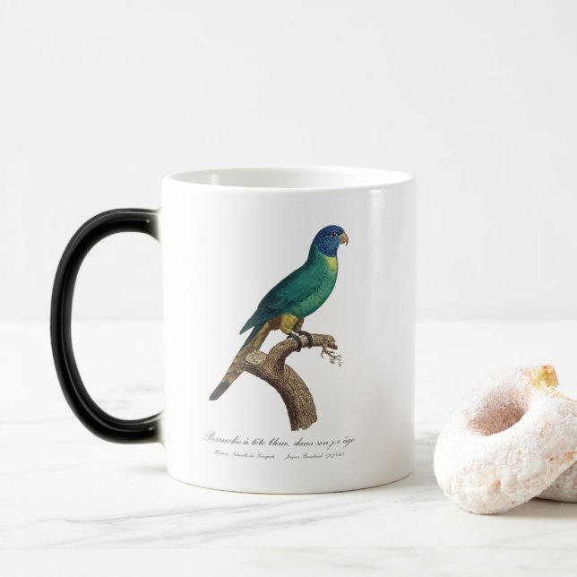 Perruche a tete bleue / Rainbow lorikeet, juvenil Verwandlungstasse (Mit Donut)