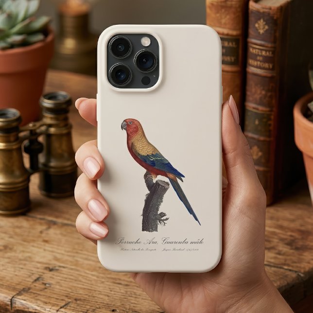 Perruche Ara, Guarouba / Sonnenparaket Case-Mate iPhone Hülle (Sun Parakeet Male, Aratinga Solstitialis. iPhone Case)