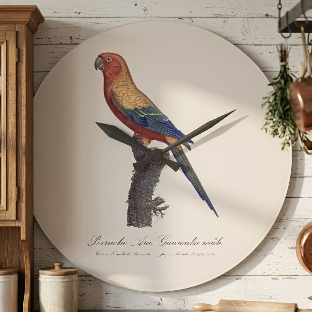 Perruche Ara, Guarouba / Sonnenparaket Große Wanduhr (Sun Parakeet Male, Aratinga Solstitialis. Large Clock)