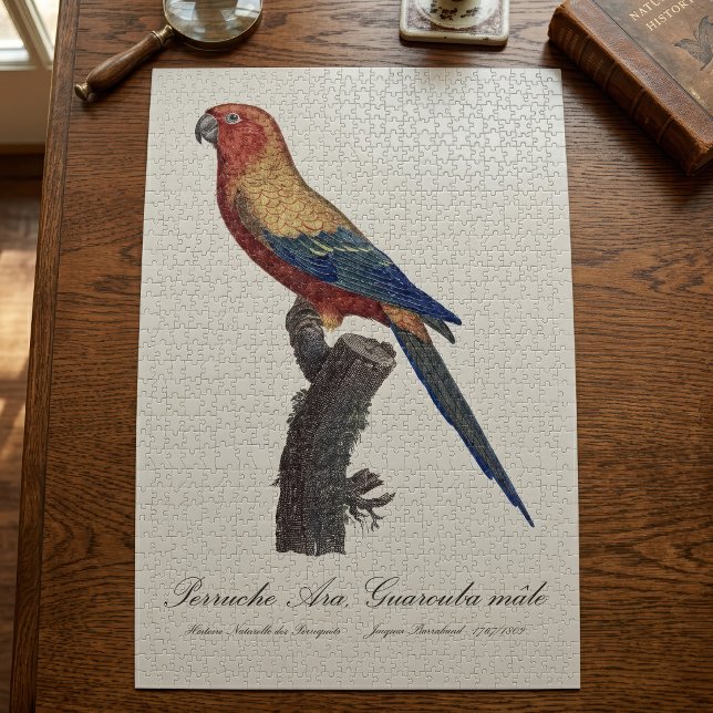 Perruche Ara, Guarouba / Sonnenparaket Puzzle (Sun Parakeet Male, Aratinga Solstitialis. Jigsaw Puzzle)