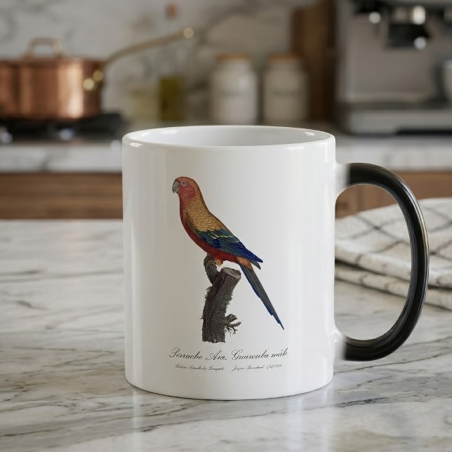 Perruche Ara, Guarouba / Sonnenparaket Verwandlungstasse (Sun Parakeet Male, Aratinga Solstitialis. Color Morph Mug)