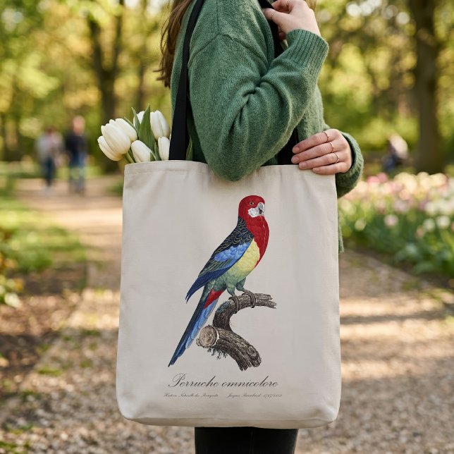 Perruche omnicolore / Eastern rosella (Eastern rosella or Platycercus eximius parakeet. Tote Bag)