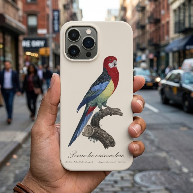 Perruche omnicolore / Eastern rosella Case-Mate iPhone Hülle (Eastern rosella or Platycercus eximius parakeet. iPhone Case)