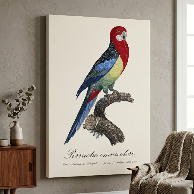 Perruche omnicolore / Eastern rosella Leinwanddruck (Eastern rosella or Platycercus eximius parakeet. Canvas Print)