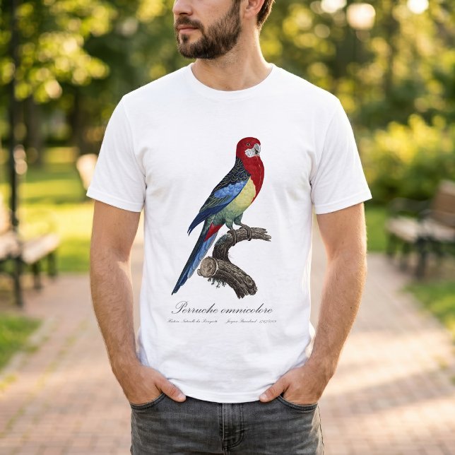 Perruche omnicolore / Eastern rosella T-Shirt (Eastern rosella or Platycercus eximius parakeet. Men Basic White T-Shirt)