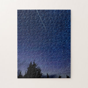 Perseid Meteor Shower Puzzle