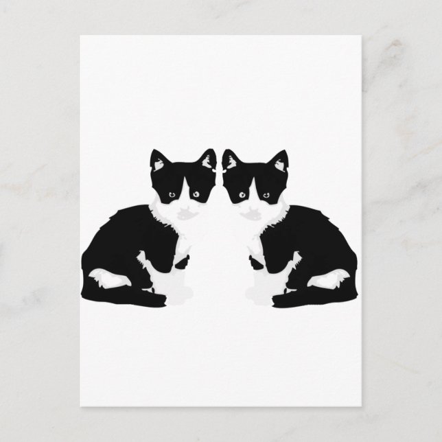 persephone&hades 'tuxedo cat' postkarte (Vorderseite)