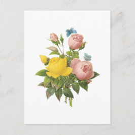 Persergelbe Rose, Tee-Rose von Redouté Postkarte