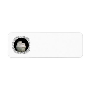 Perserkatze mit jadegrünen Augen
