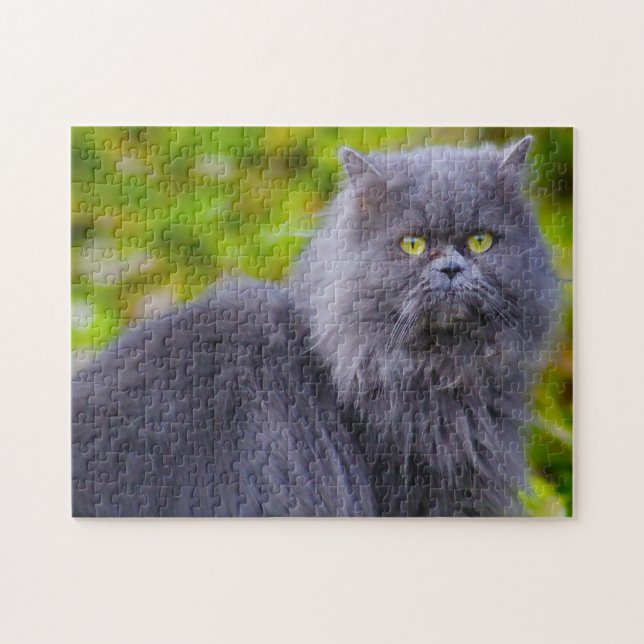 Perserkatzen. Puzzle (Horizontal)
