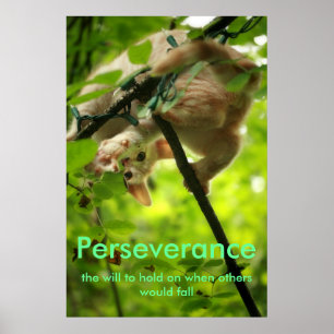 Perserverance Plakat
