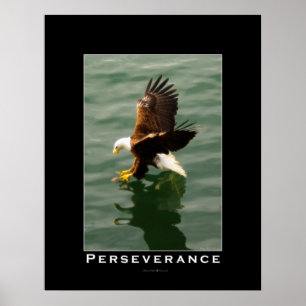 PERSEVERANCE Bald Adler Motivierend Art Poster