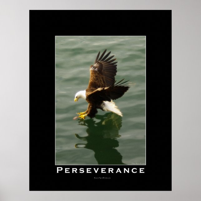 PERSEVERANCE Bald Adler Motivierend Art Poster (Vorne)