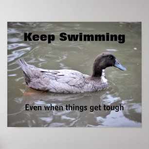 Perseverance Classroom Poster