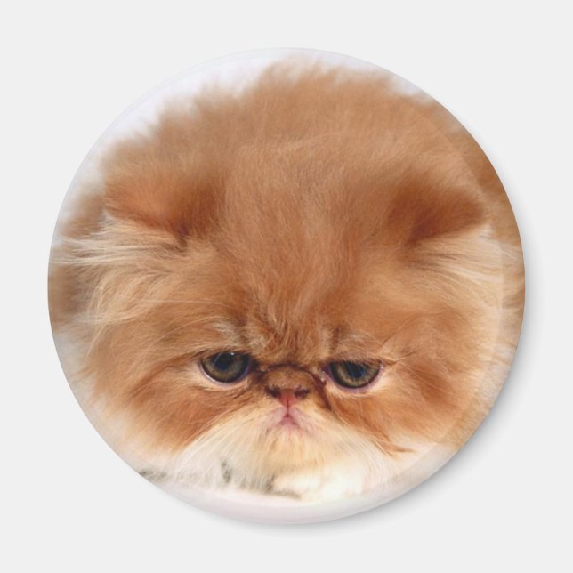 Persian Cat Face Magnet (Vorne)