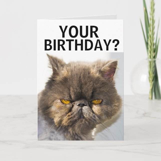 PERSIAN CAT FUNNY BIRTHDAY CARD KARTE (Vorderseite)