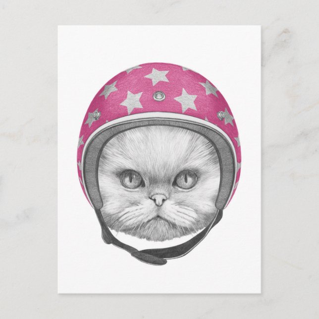 Persian Cat Motorrad Rider Postkarte (Vorderseite)