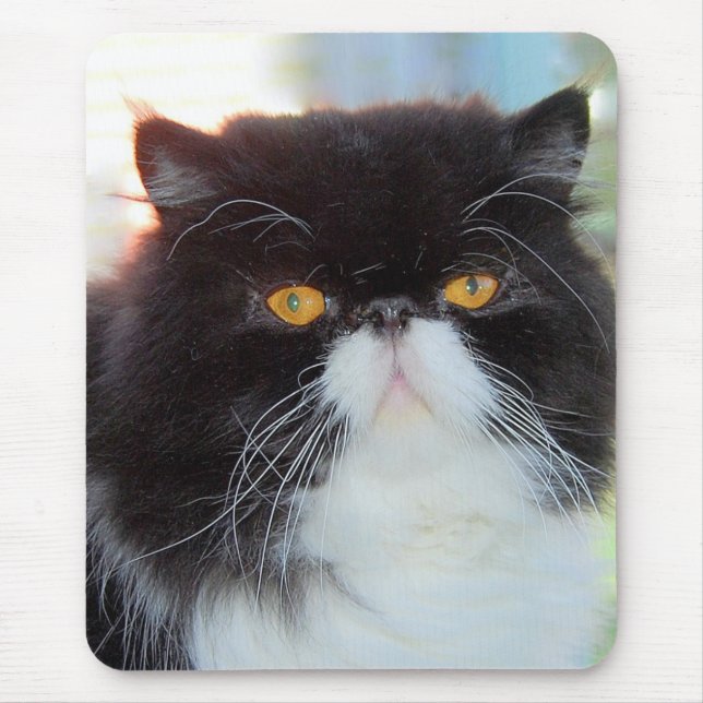 Persian Cat Mousepad (Vorne)