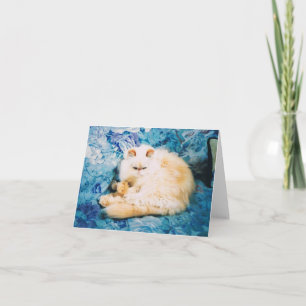 Persian Cat Note Card Karte