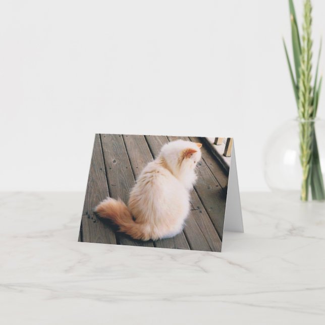 Persian Cat Note Card Karte (Vorderseite)