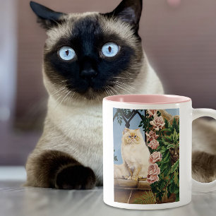 Persian Cat Rose Dryad Zweifarbige Tasse