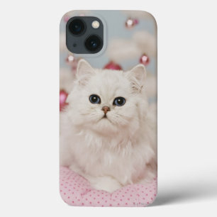 Persian cat sitting on pink pillow iPhone 13 hülle