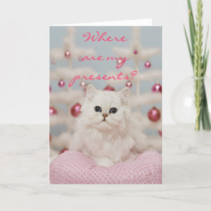 Persian cat sitting on pink pillow feiertagskarte