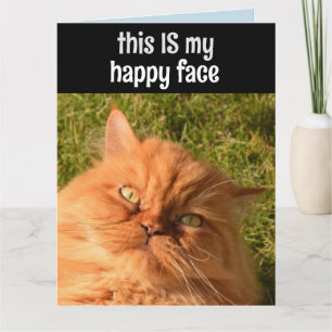 PERSIAN GINGER CAT FUNNY GAPPY FACE BIRTHDAY CARD KARTE
