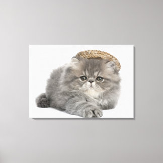 Persian Kitten (2 Monate alt) mit Strohhalm Leinwanddruck