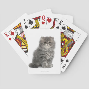 Persian Kitten (2 Monate alt), sitzend Spielkarten