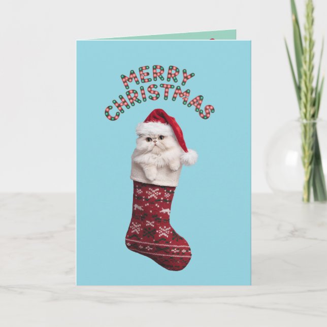 Persian Kitty Christmas Strumpf Karte (Vorderseite)