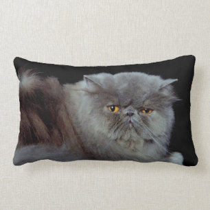 Persiblau Lendenkissen