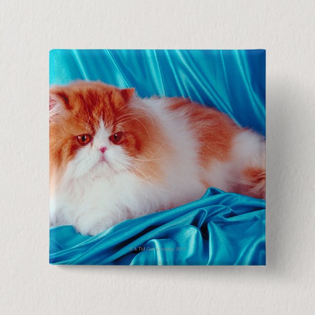 Persikatze Button (Vorderseite)