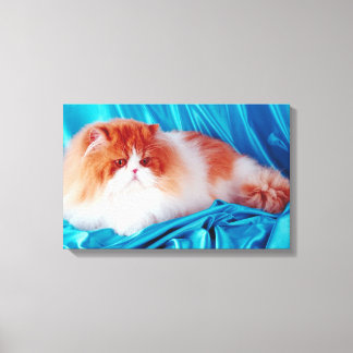 Persikatze Leinwanddruck