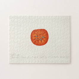 Persimmon (Diospyros) Fruchtfarben Puzzle